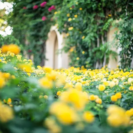 El Rodat Village ホテル Jávea